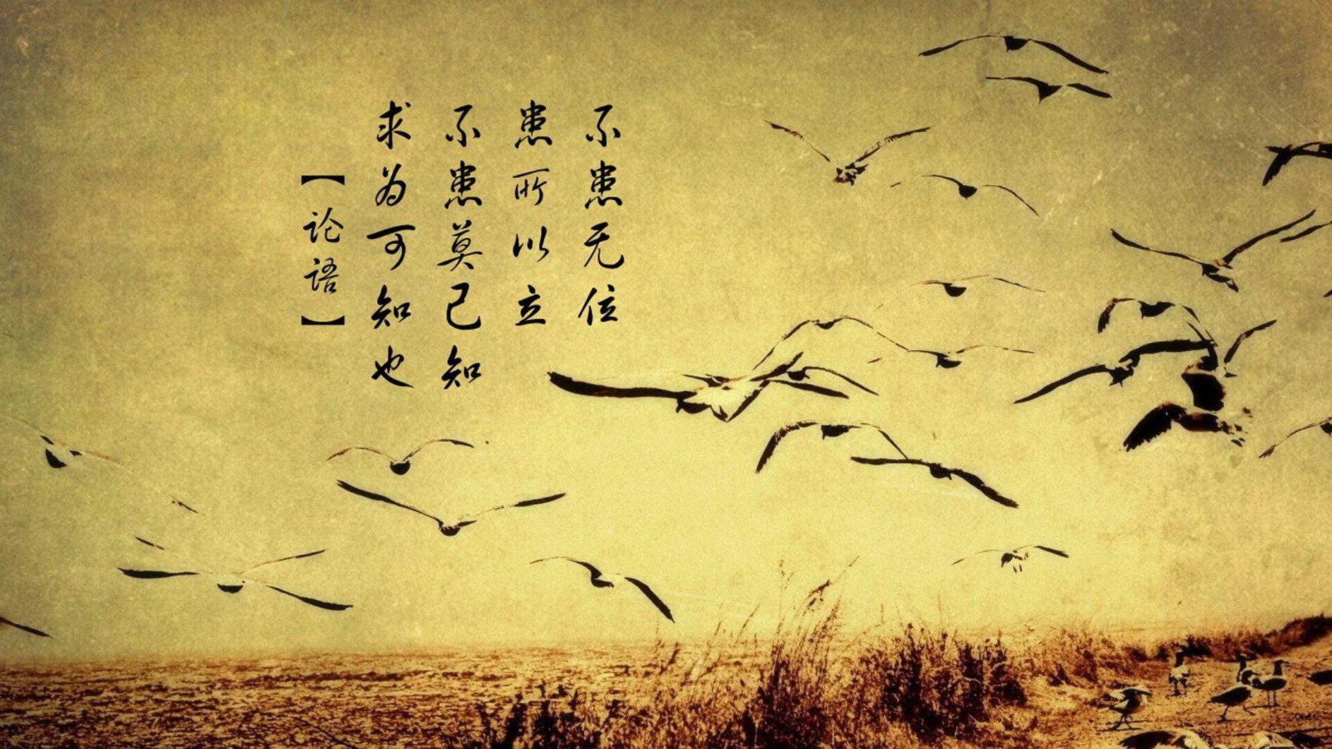 日本体操队在巴黎奥运会表现出色，获得多枚奖牌，日本体操冠军落地