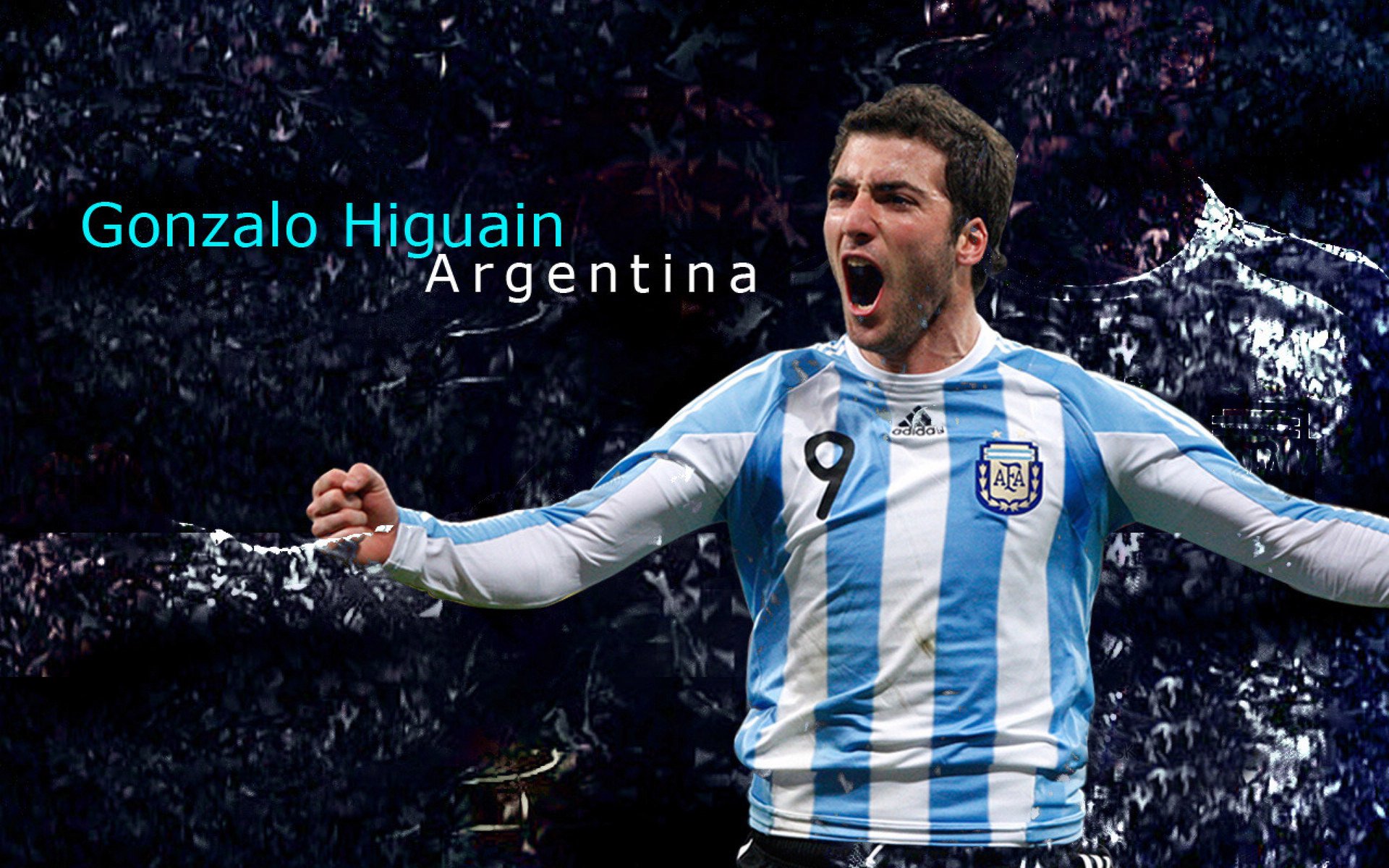 足球运动在海外华人社区中逐渐普及,推动文化交流,足球运动在全世界很受欢迎