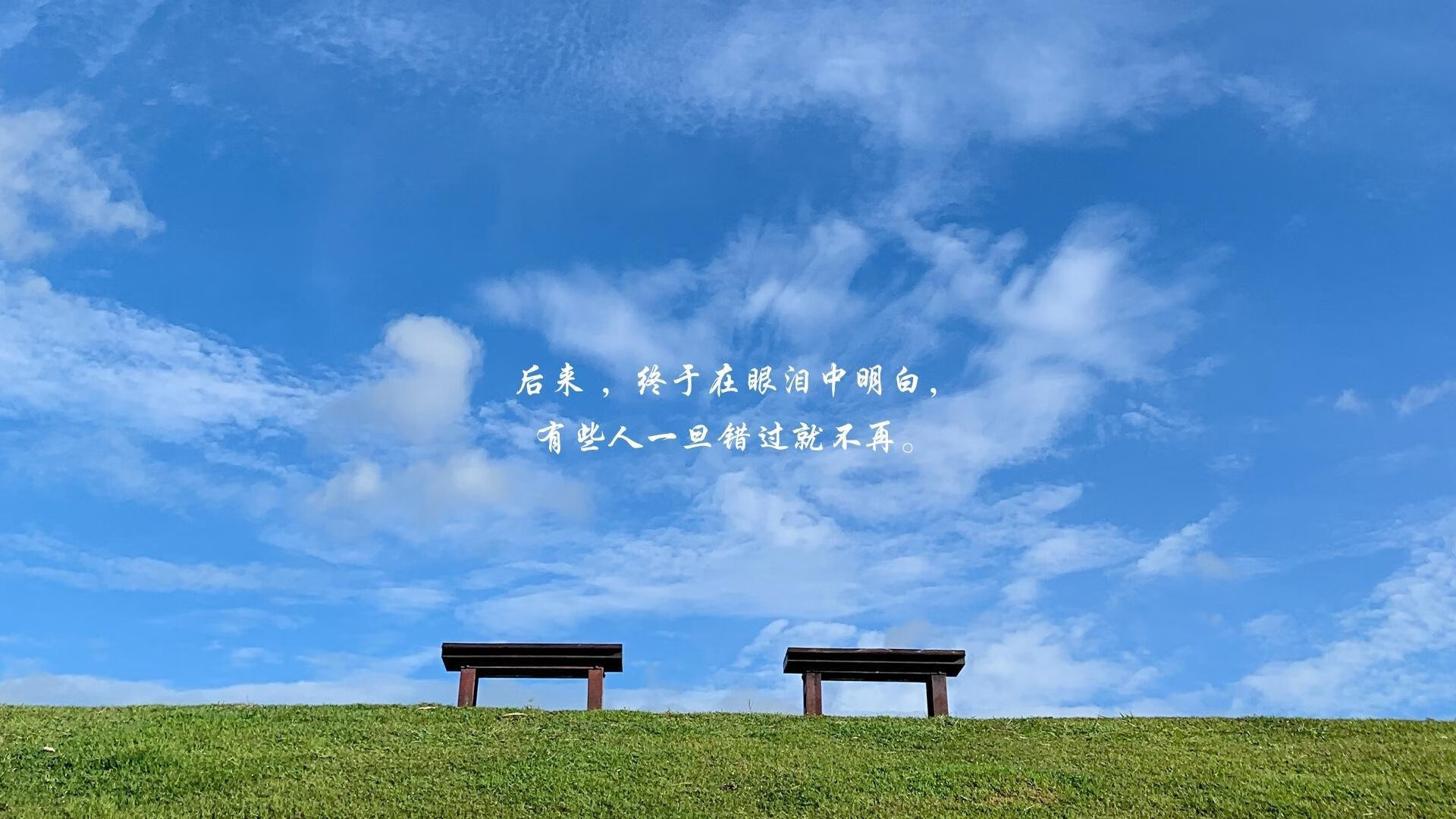 _猛龙队韧性十足，逆转战胜强敌_，猛龙队主力