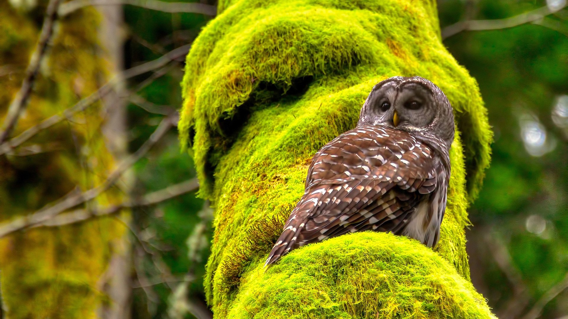 _瑜伽冥想联谊会：放松身心迎接新挑战_，瑜伽冥想视频教学