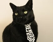 _爵士队战略调整，战术多变收获佳绩_，爵士队伍