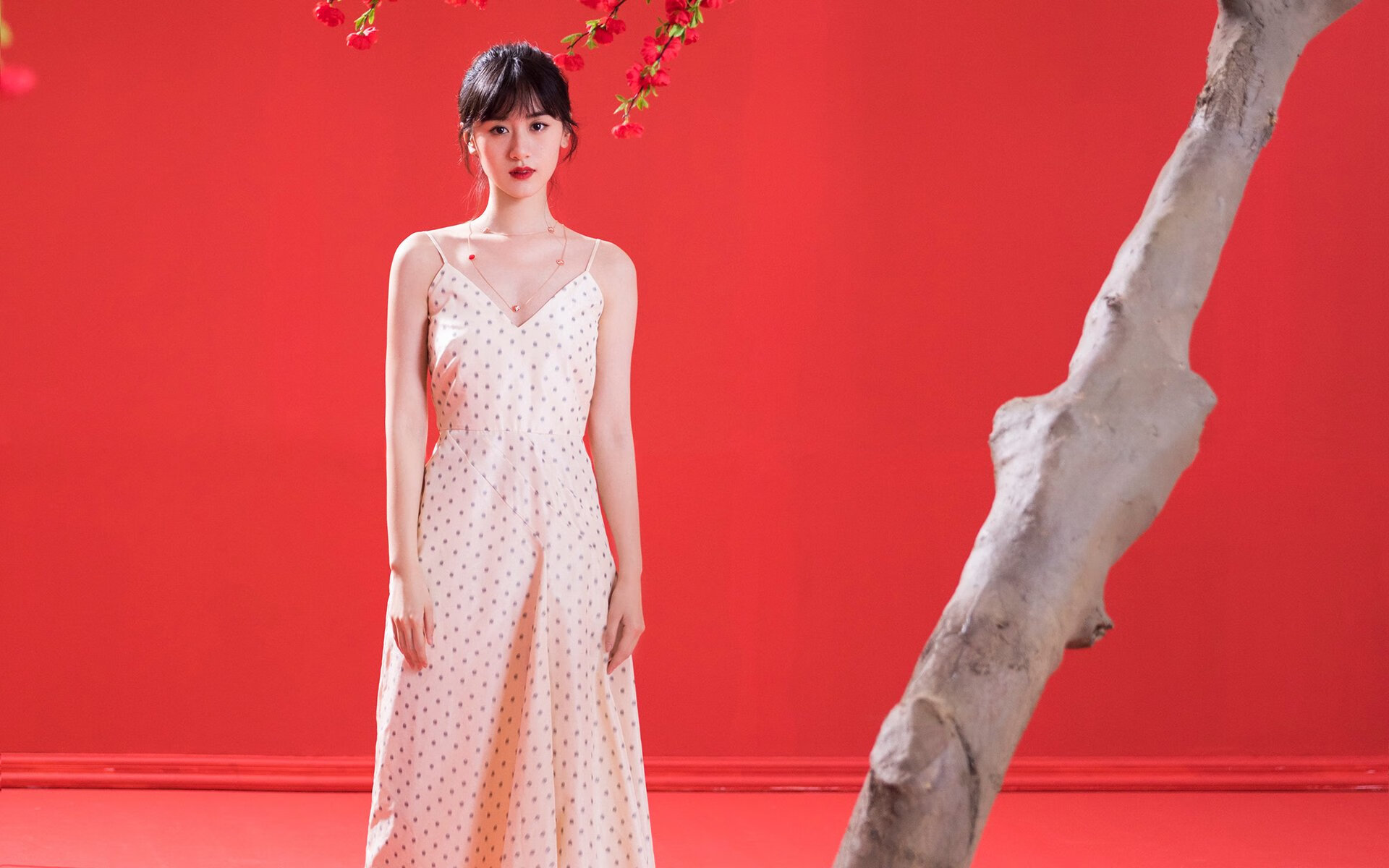 _篮网团队配合默契，战绩持续攀升_，篮网队最新签约