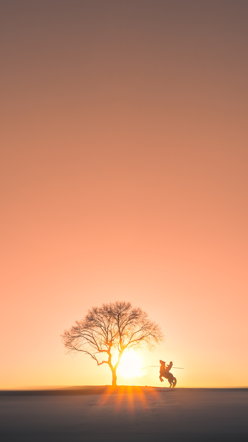 _火箭队状态回升，逐步迎头赶上_，火箭队现在怎么样了