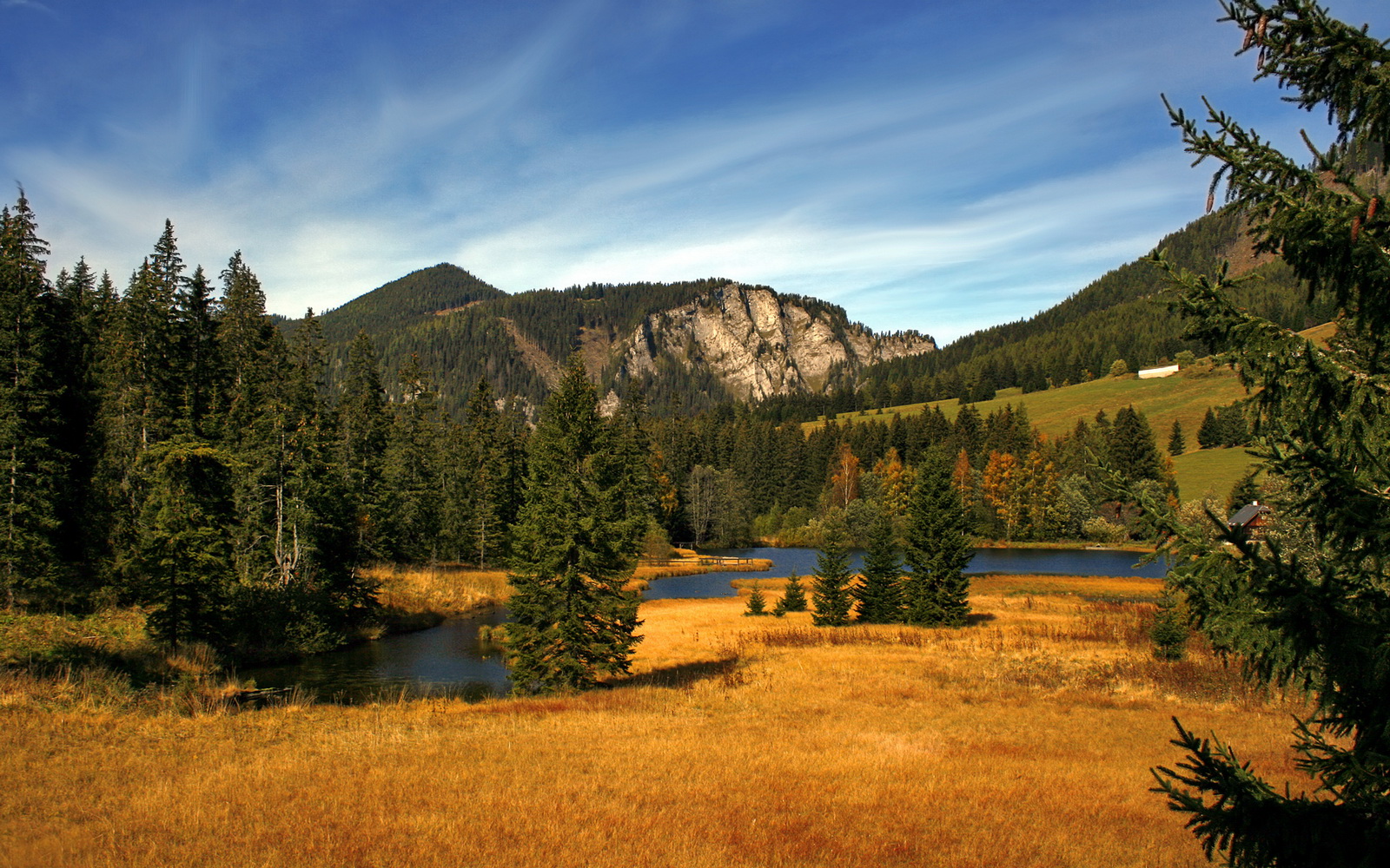 中国篮球联赛吸引更多赞助商关注，篮球队中国