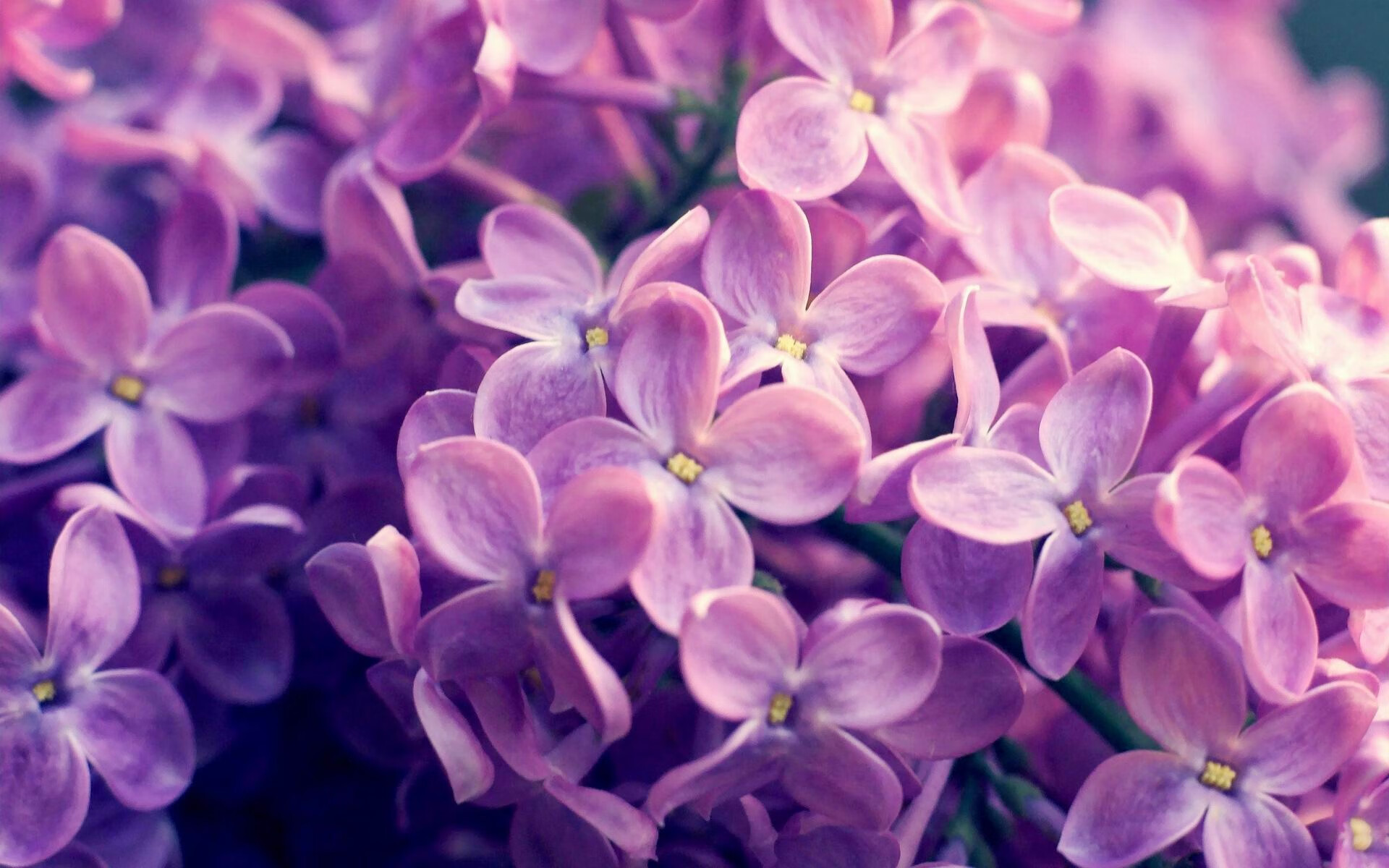 中国篮球联赛吸引更多赞助商关注，篮球队中国