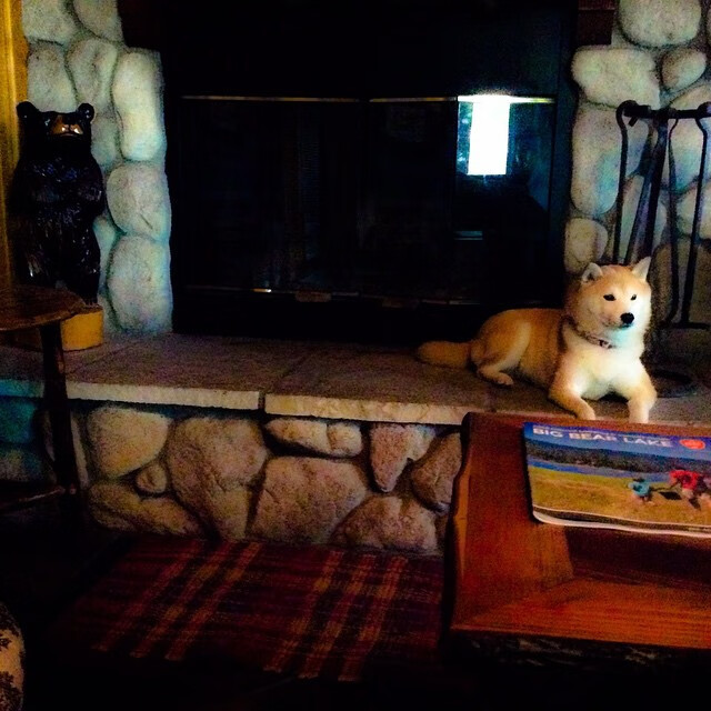 开云LOL-意甲：那不勒斯1-0赢下热那亚，奥斯梅恩中柱后逆转成功，那不勒斯主力门将