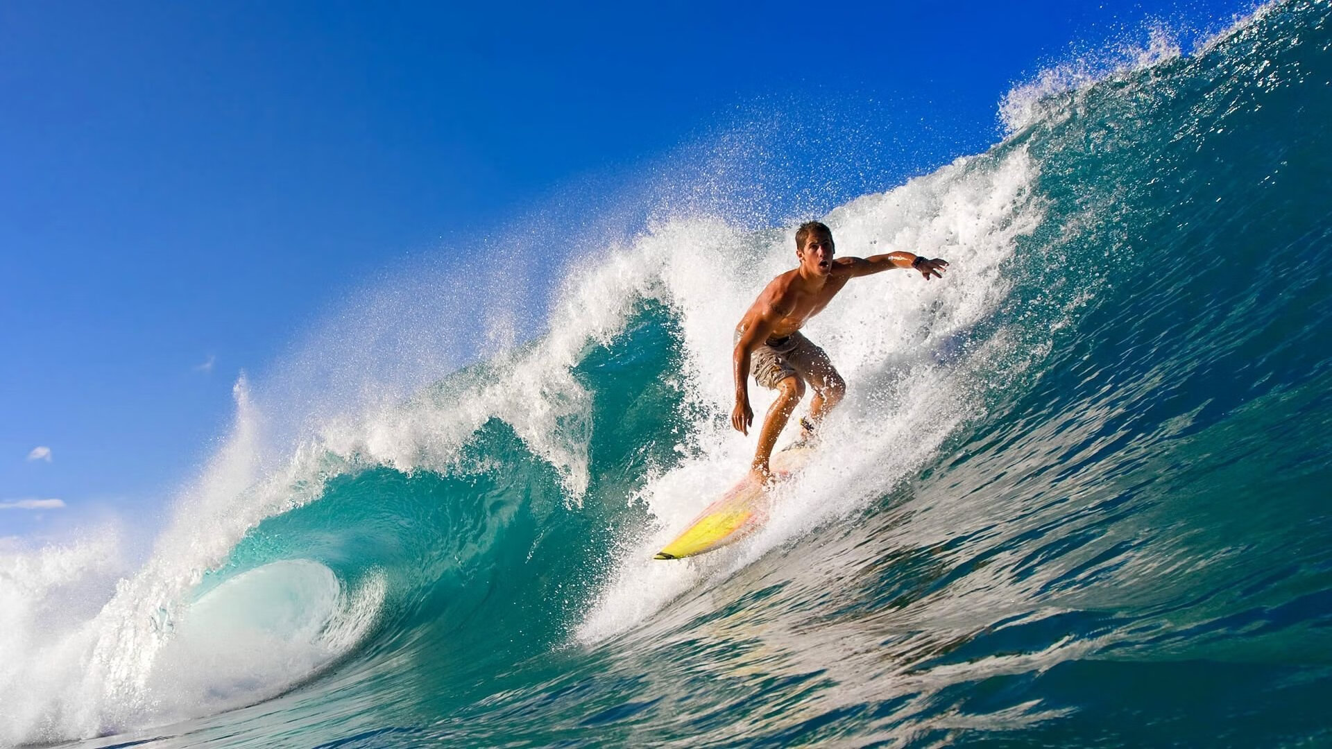 开云真人体育娱乐-极限自行车培训基地落成引发关注，极限自行车叫什么名字
